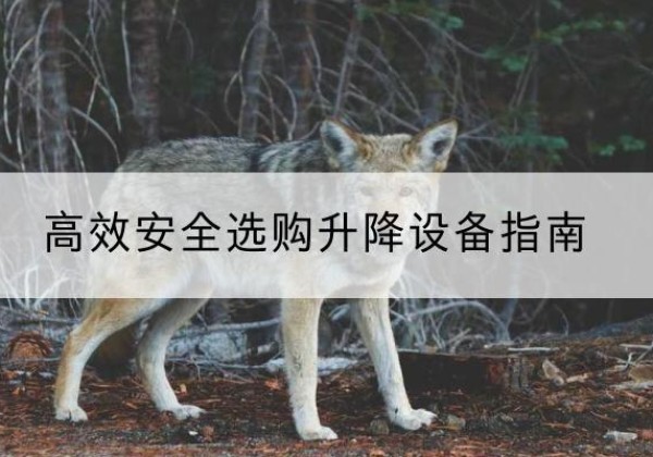 泸定升降货梯厂家推荐-*安全选购升降设备指南