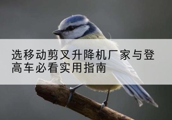 泸定电动升降机厂家-选移动剪叉升降机厂家与登高车必看实用指南