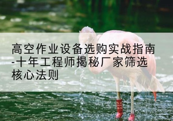 泸定剪叉式升降机厂家-高空作业设备选购实战指南-十年工程师揭秘厂家筛选核心法则